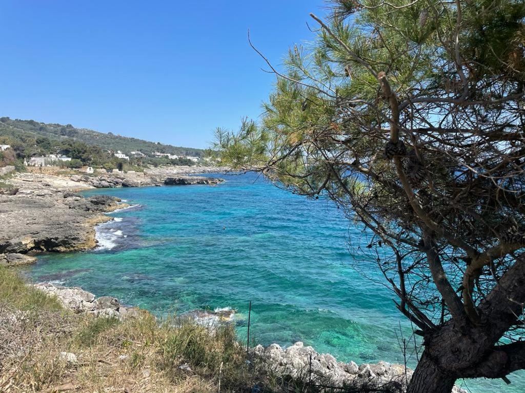 A Quai A Chiara Βίλα Αντράνο Εξωτερικό φωτογραφία