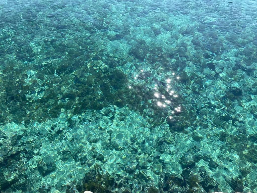 A Quai A Chiara Βίλα Αντράνο Εξωτερικό φωτογραφία